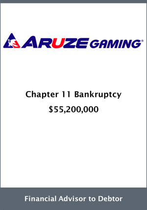 Armory Securities, LLC Announces the Sale of the Assets of Aruze Gaming America, Inc